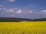 La Vieille Borde jaune. Location de gîtes