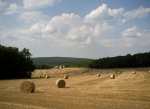 La Vieille Borde during harvest time