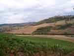 La Vieille Borde, location de gîtes, les vignobles de Vézelay