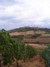 La Vieille Borde, location de gîtes, les vignobles de Vézelay