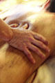 Massage Ayurvedique